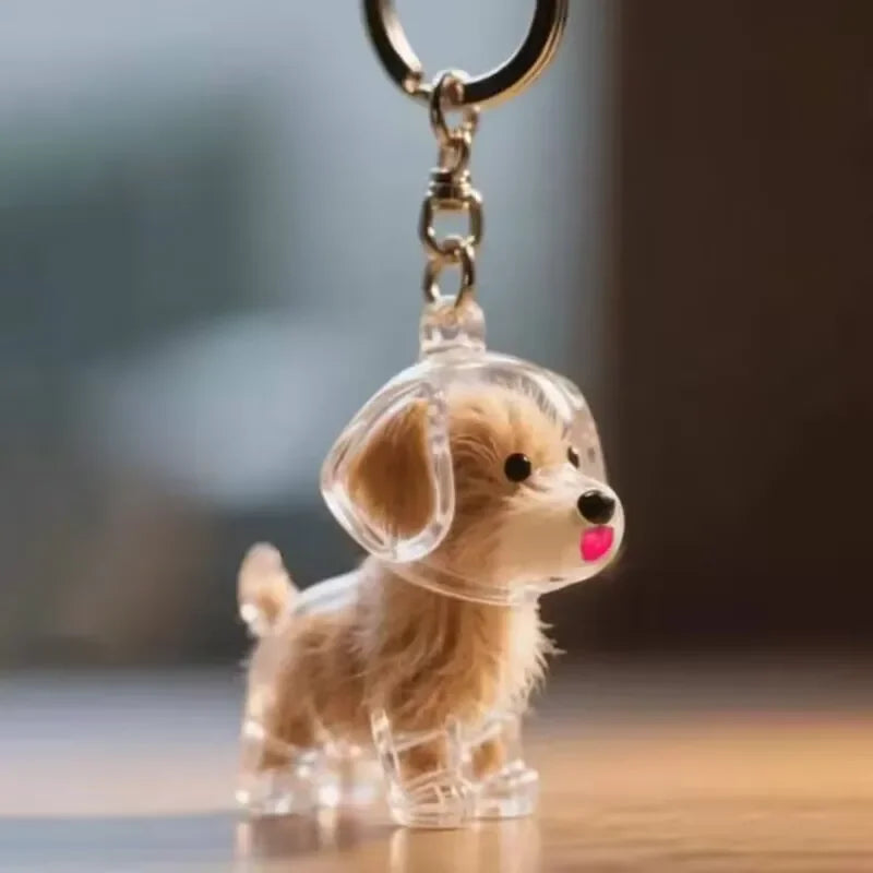 EverPaws Capsule©